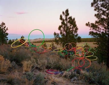 Artwork Title: Emergent Behavior