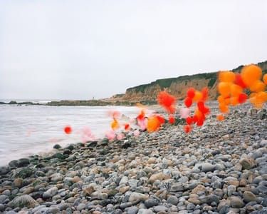 Artwork Title: Emergent Behavior