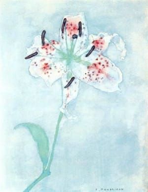 Artwork Title: Lily