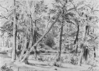 Artwork Title: Forest