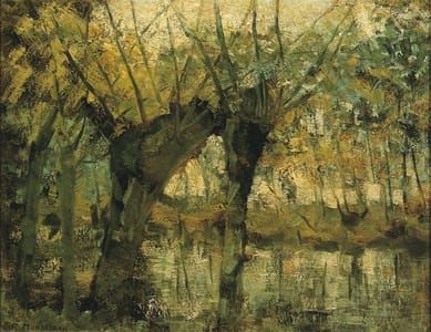 Artwork Title: Saulaie : Impression de lumière et d’ombre