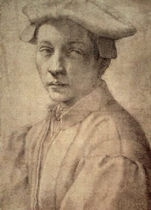 Artwork Title: Portrait of Andrea Quaratesi