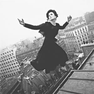 Artwork Title: Dior Wings, Paris