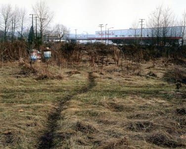 Artwork Title: The Crooked Path