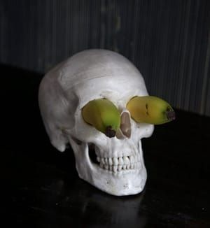 Artwork Title: Untitled