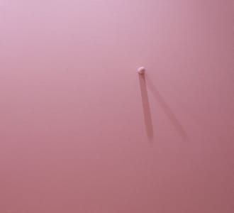 Artwork Title: Stand Rosa