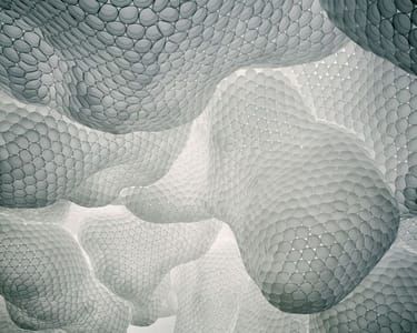 Artwork Title: Styrofoam Cups