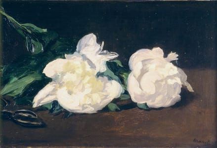 Artwork Title: Branche De Pivoine Blanche