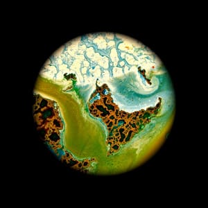 Artwork Title: Green Planet