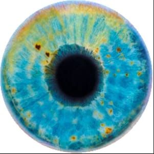 Artwork Title: Eye Of History