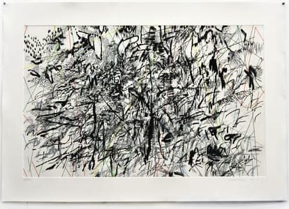 Artwork Title: Vertiginous Fold