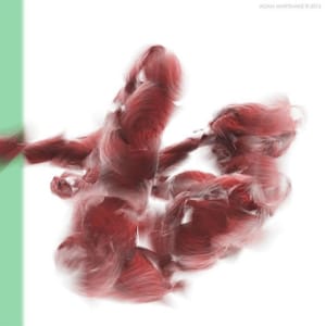 Artwork Title: Untitled