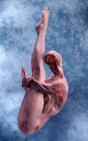Artwork Title: Skydiver
