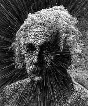 Artwork Title: Albert