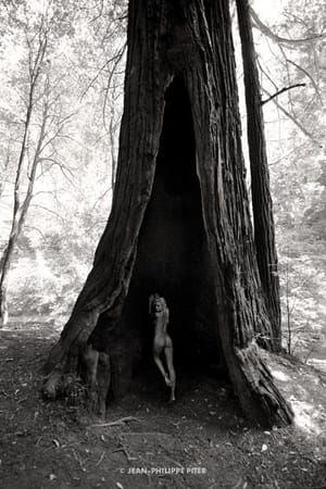 Artwork Title: Untitled