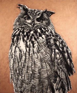 Artwork Title: Owl