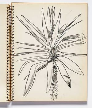Artwork Title: From Sketchbook #15