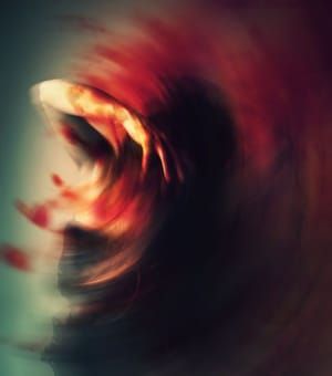 Artwork Title: I'm Not Fucking Zen
