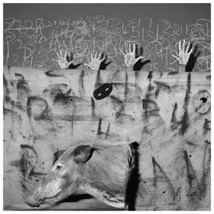 Artwork Title: Untitled