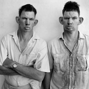 Artwork Title: Twins