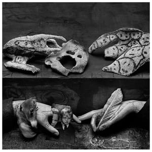 Artwork Title: Asylum