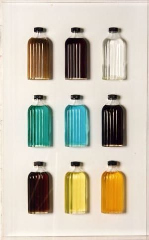 Artwork Title: Liquida Auroraeda