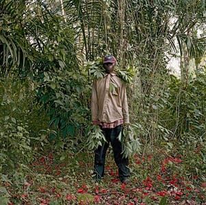 Artwork Title: John Kwesi, Wild Honey Collector