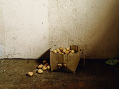 Artwork Title: Inside the Besters’ home