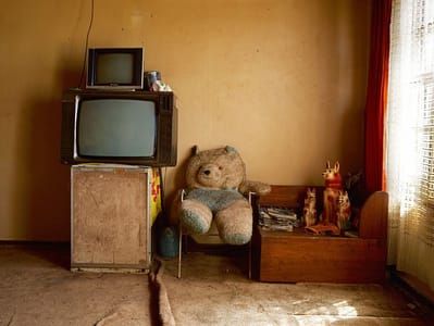 Artwork Title: Inside the Besters’ home