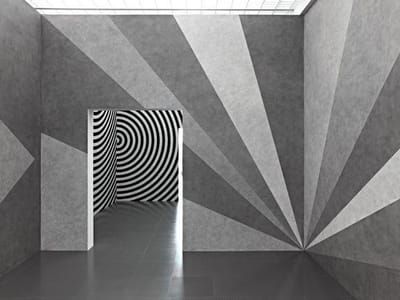 Artwork Title: Wall drawing #542 and #462