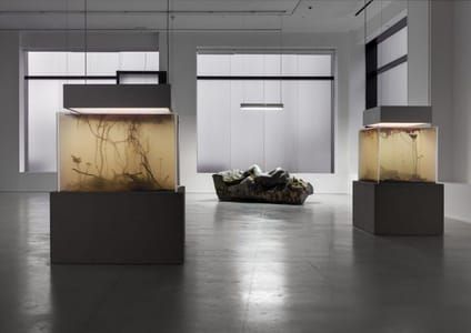 Artwork Title: “IN BORDER DEEP” installation view