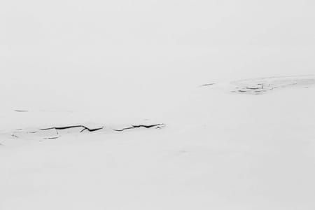Artwork Title: Wolf