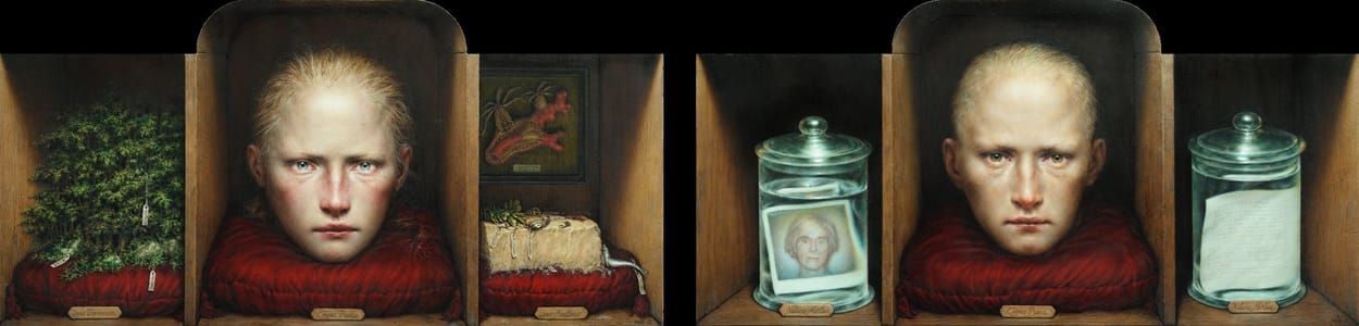 Artwork Title: Camera Artium