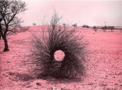 Artwork Title: Untitled