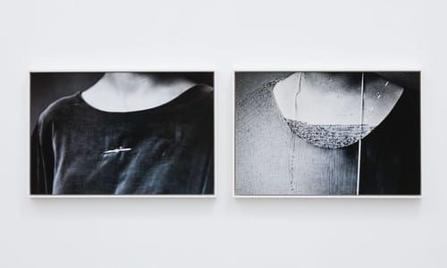 Artwork Title: Necks