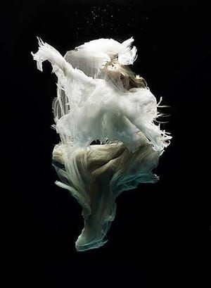 Artwork Title: Untitled