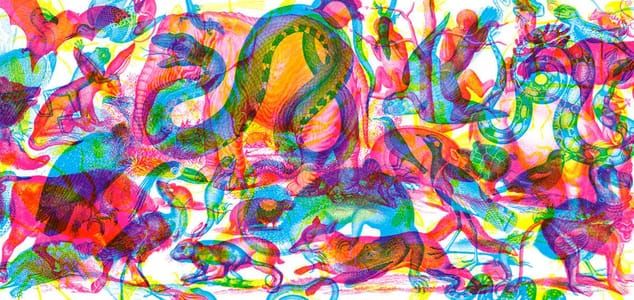 Artwork Title: Animalia N.1