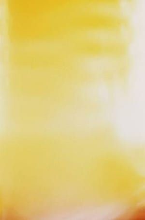 Artwork Title: Untitled
