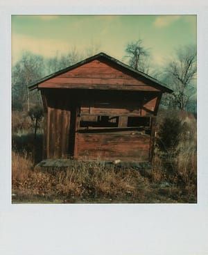 Artwork Title: Abandoned House