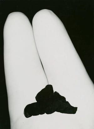 Artwork Title: Eleanor, Chicago