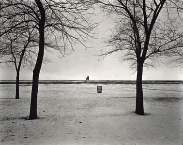 Artwork Title: Eleanor and Barbara, Chicago