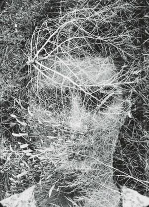 Artwork Title: Eleanor, Detroit