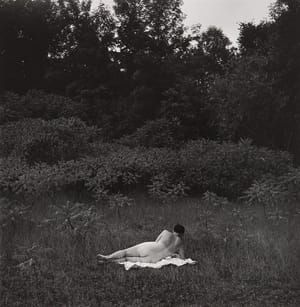 Artwork Title: Untitled