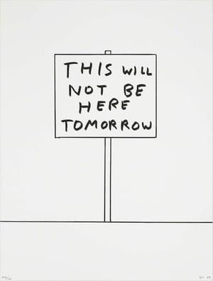 Artwork Title: This will not be here tomorrow