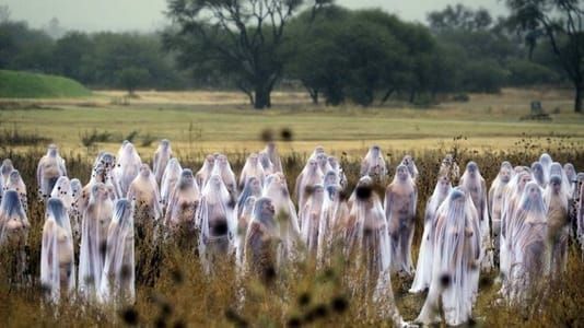 Artwork Title: Spirits