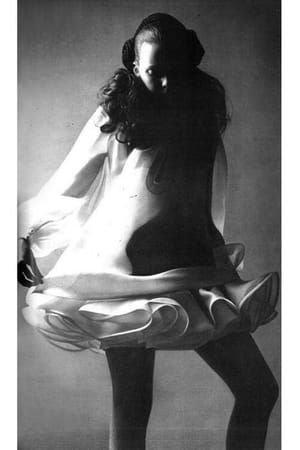 Artwork Title: Untitled