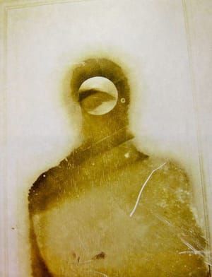 Artwork Title: Polaroïd