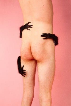 Artwork Title: Spider Monkey (Soft Pink)
