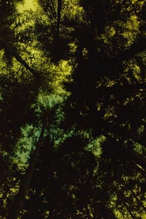 Artwork Title: Night Sky Tie Dye