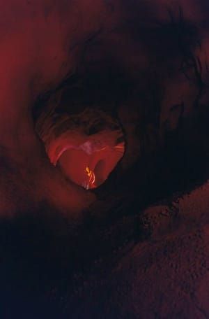 Artwork Title: Sean (Inside Heart)
